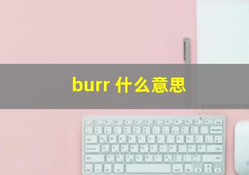 burr 什么意思